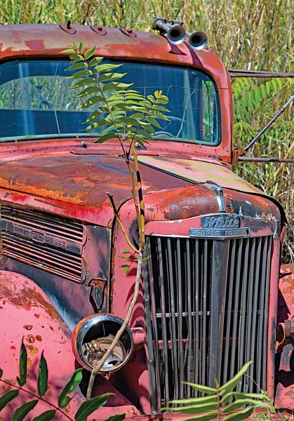 Old cars and trucks in Hayes Arizona USA by Willem van Holten