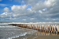 Têtes de pôles à Domburg