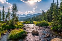 Colorado Wilderness Foto, Landschaftsbild