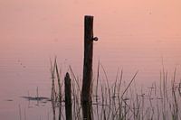 Wie ein Fels in der Brandung!