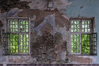 Old windows