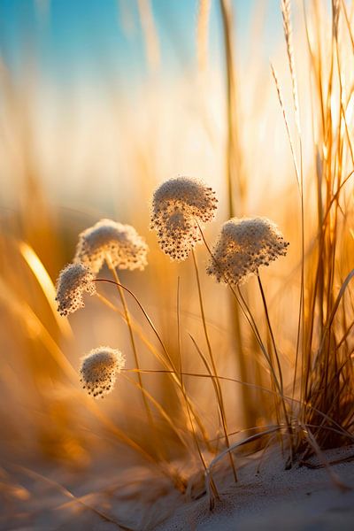 Beach Impressions No 6 par Treechild