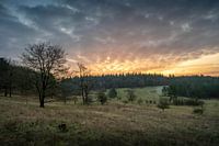 Early morning on Paltz estate