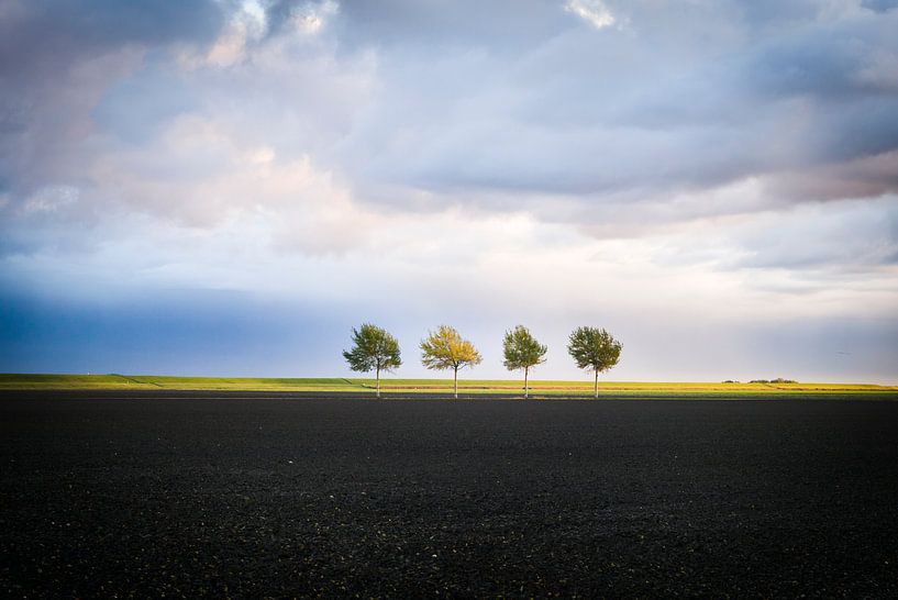 Four Trees in Dallingeweer: The Calming Photo Art that Beautifies Your Space by Eriks Photoshop