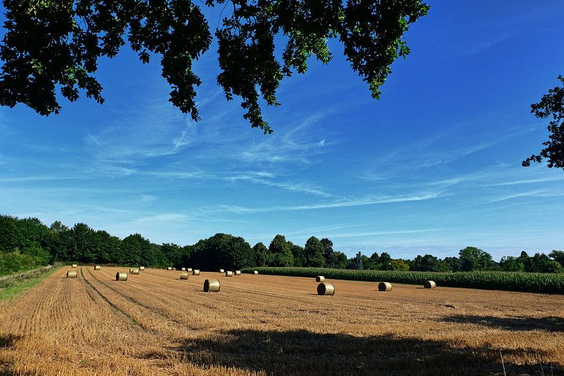 Erntezeit von Edgar Schermaul