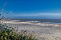 Plage Vlieland