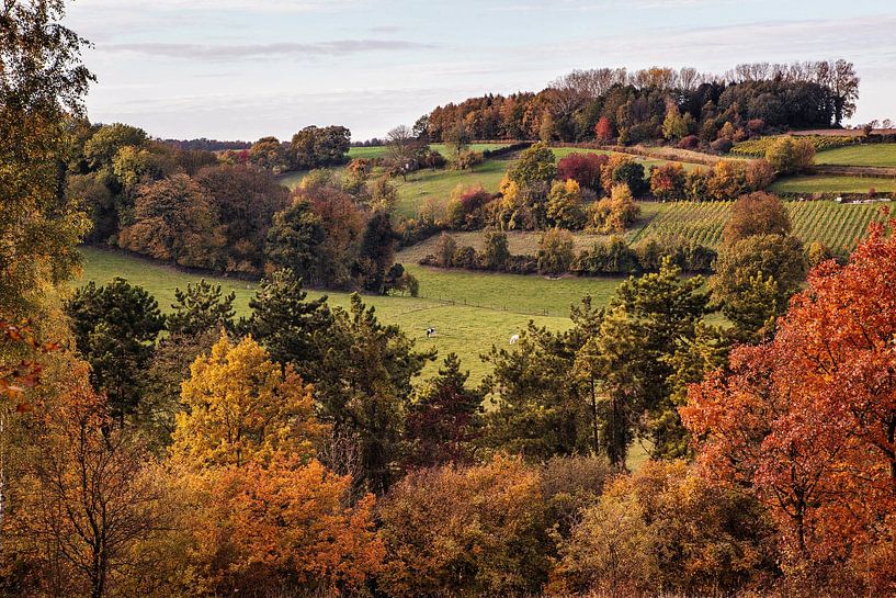 Toter Mann @ Stokhem von Rob Boon