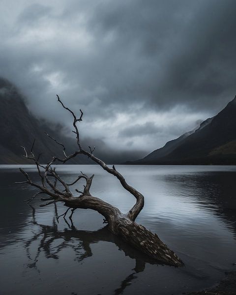 Baum im See von fernlichtsicht