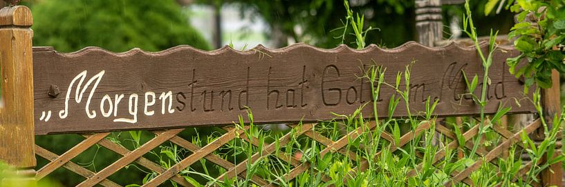 Wald Blumen Feld Landschaft Erzgebirge Pilze von Johnny Flash