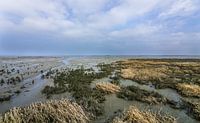 Waddenzee, bij Holwerd