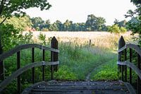 Brücke über die Slinge bei Winterswijk