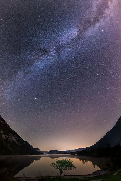 Milchstrasse über dem Bohinjesee von Denis Feiner
