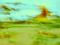 Sonnenblumen im Wind 10