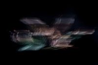 Blätter | Abstrakt | Fotografie | 24