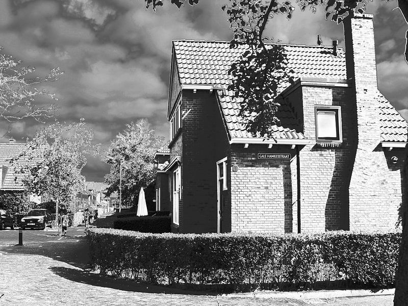 2018 art 41 Leeuwarden Gale Hamkesstr par jan kamps