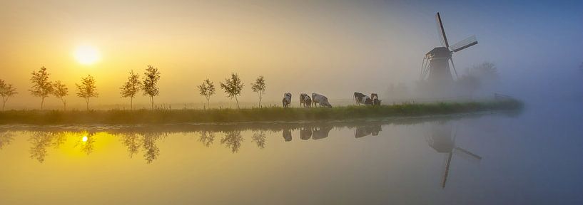 Szene aus dem Krimpenerwaard von Stephan Neven