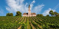 Die Wallfahrtskirche von Birnau am Bodensee