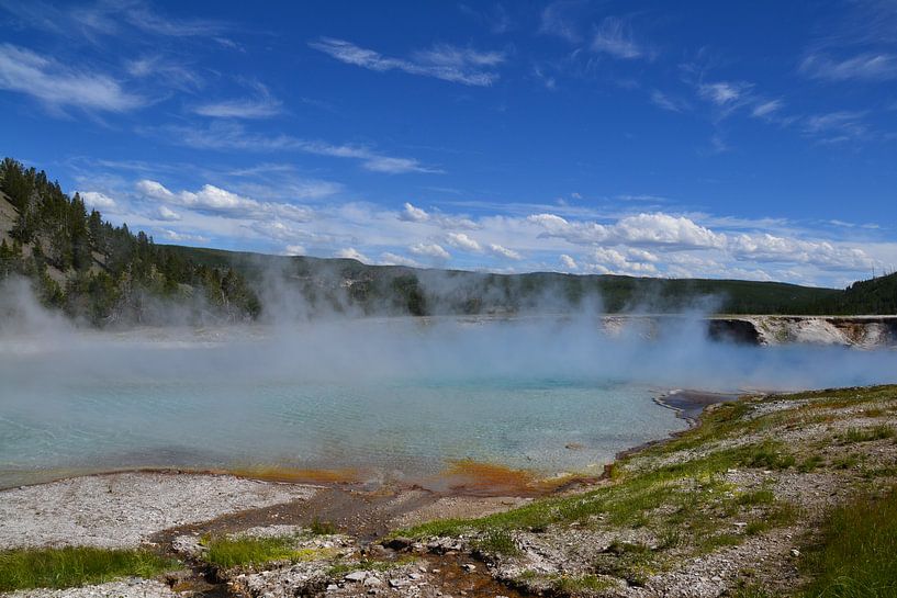 Foggy! von Wessel Smit