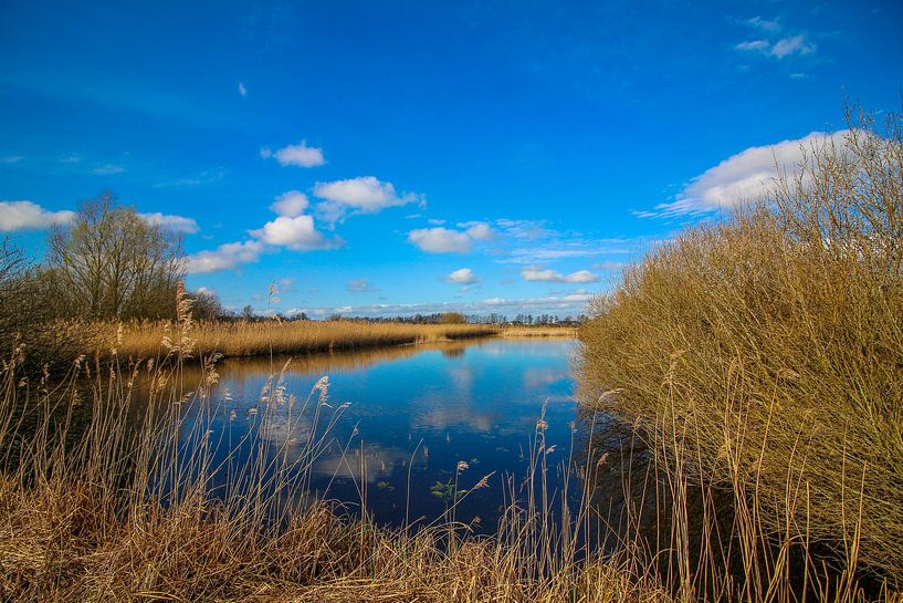 See bei Giethoorn von Maarten Salverda