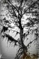 Pinhole boom 4008B/W