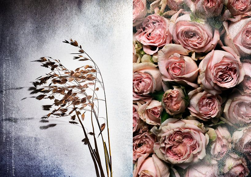 A BREEZE SIGN_QUAKING GRASS AND ROSES van Patricia Versluis-van Berkel