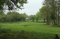 Anloo, Drenthe, Aa en Hunze 1