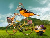 La division pâtisserie