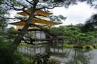 Gouden tempel achterzijde