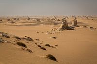Aperçu du parc national du désert blanc en Égypte