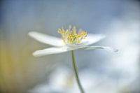 Zwischen den Schauern ist die Sonne da