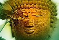 Buddha in deep Meditation