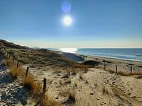 Die Dünen von Meijendel