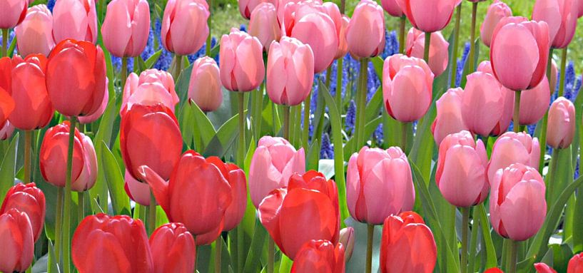 'Us' von Lisa Pieters