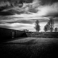 Trees in the city-1.