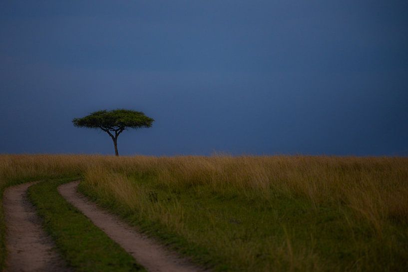 GEH WEITER, DER SCHATTEN IST EIN KOPF von Ssenyonyi Derrick