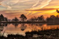 Ochtendgloren aan de Leersumse plassen