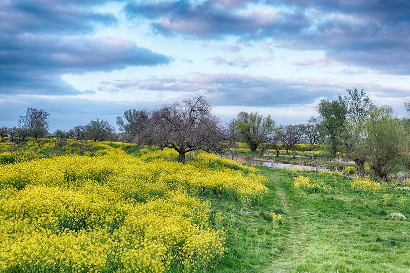 Die Straße von ir dimensions