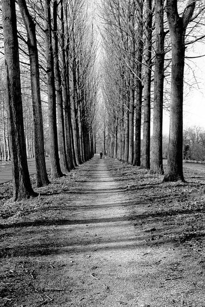 Oneindig by Lisette Breur