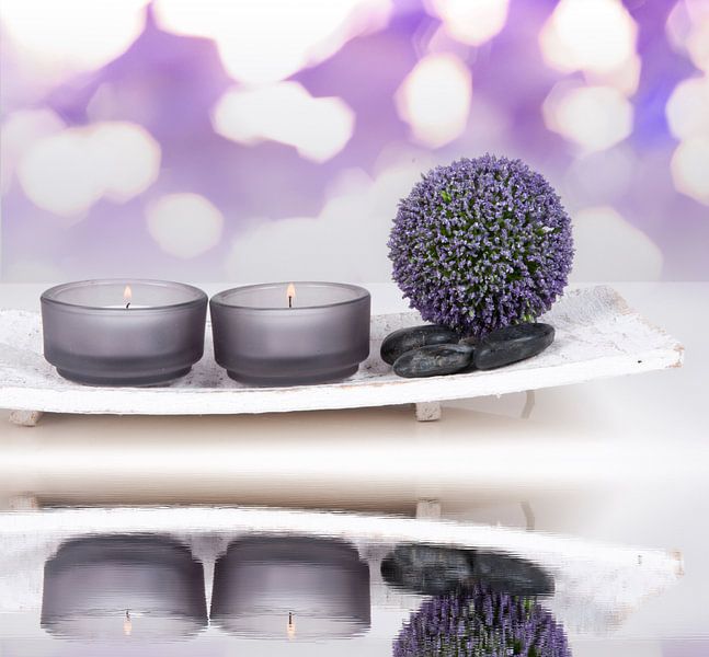 purple spa decor by Patricia Verbruggen