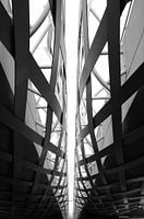 Des lignes sous le pont