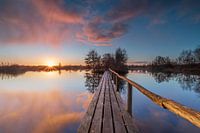 Pont Réserve naturelle De Deelen
