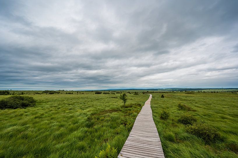 Gangschneise Hohes Venn von Peter Deschepper