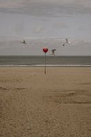 Sentinelles sur la côte