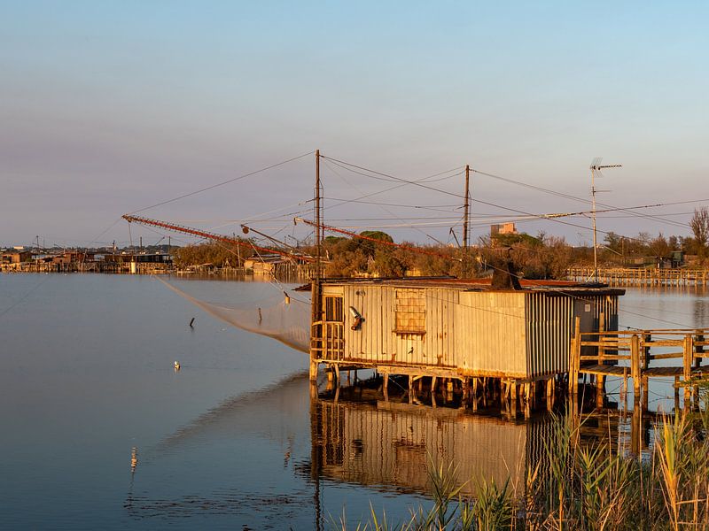 Fishing in Comacchio on the Adriatic Sea in Italy by Animaflora PicsStock