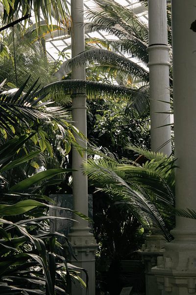 Grüne Oase von Talitha van den Brink