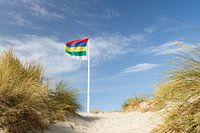 Dunes of Wadden Island Terschelling with flag #5