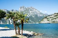 Der Gardasee in Torbole