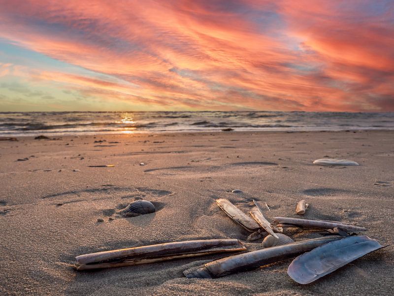 Coucher de soleil sur la plage de la mer du Nord par Animaflora PicsStock
