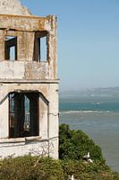 Alcatraz island 10