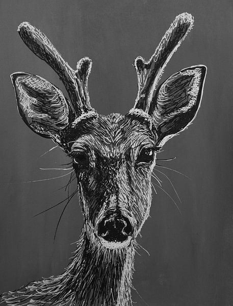 Dessin au stylo d'un cerf en noir et blanc par Bianca ter Riet